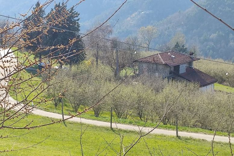 Zicht op Niella Belbo en de Alpen